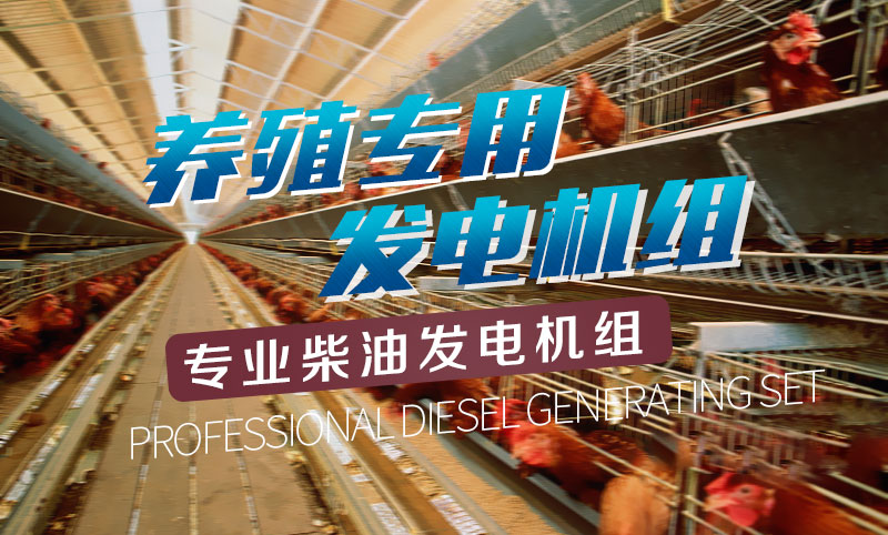 養殖專(zhuān)用柴油發(fā)電機組